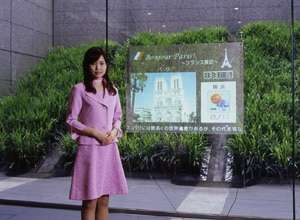 pantalla transparente.jpg
