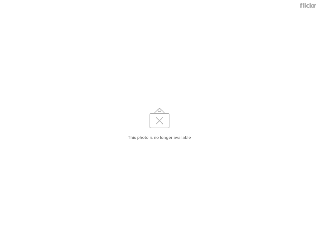 273121860 2718c6fa2c o