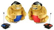rc_sumo.jpg