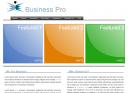 Business Pro ScreenshotP