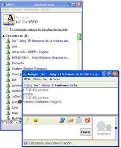 Amsn portable