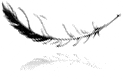 feather.gif