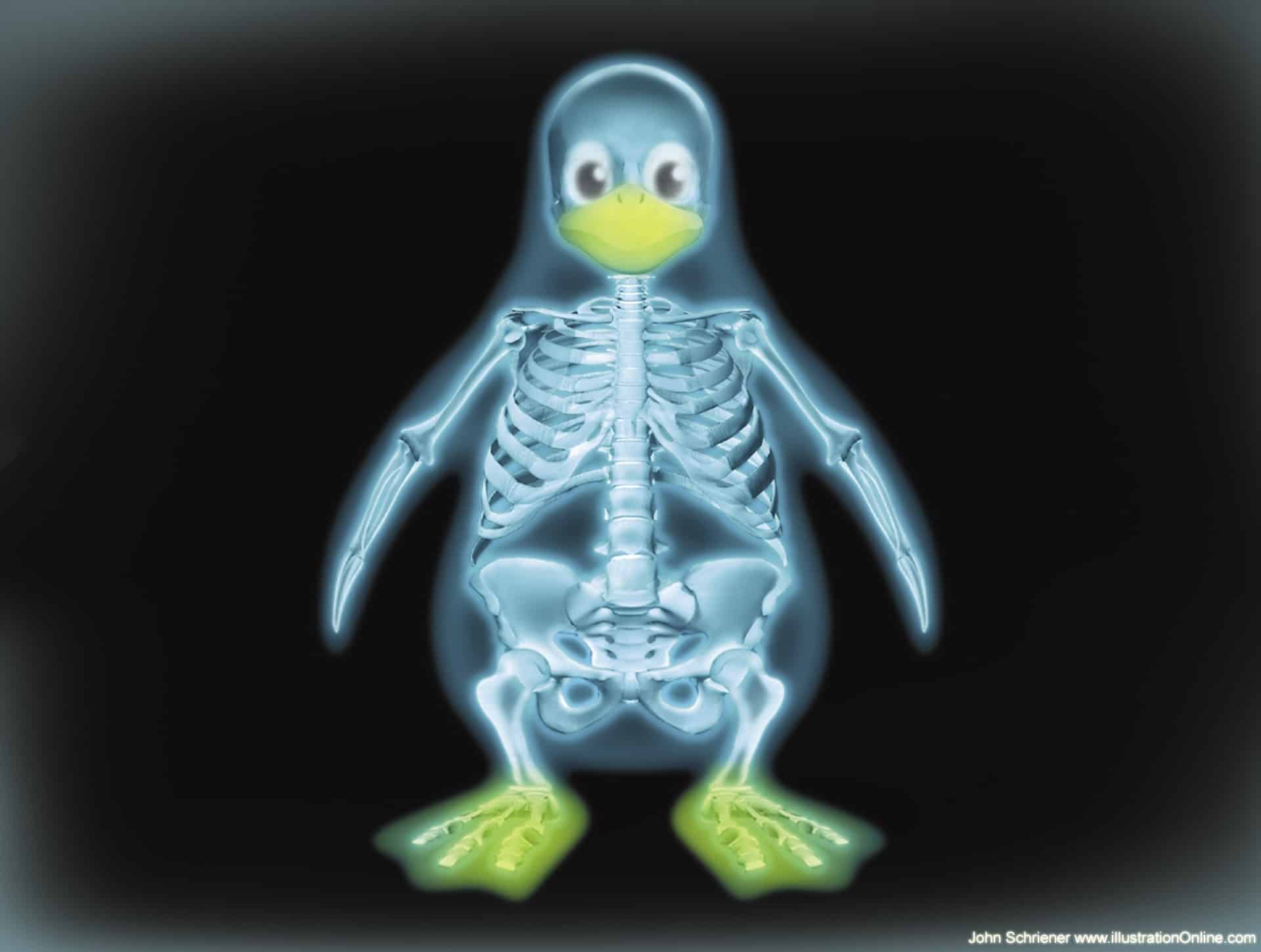 xray-linux.jpg
