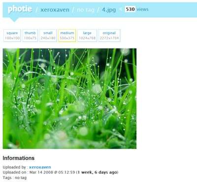 Photie-inaction_540x497