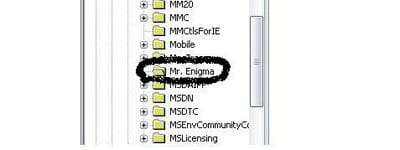 Mr_enigma