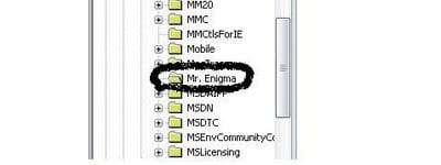 Mr_enigma