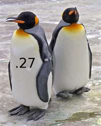 Penguins_Edinburgh_Zoo_2004_SMC