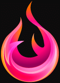 logo_ft.png