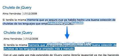 seleccion-texto.jpg