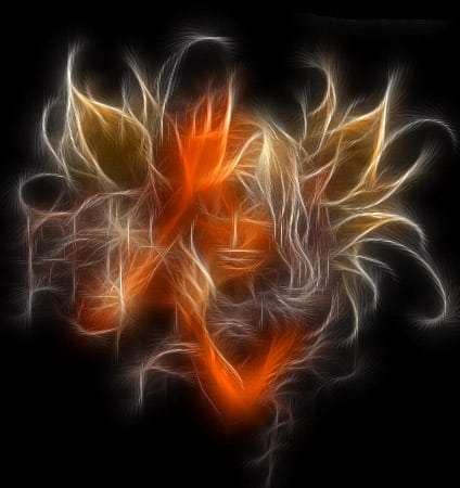 imagen-fractal1.jpg