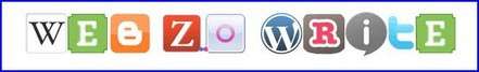 Web20write