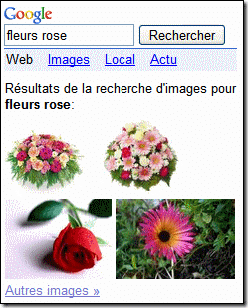 GoogleMobile_search_fleur