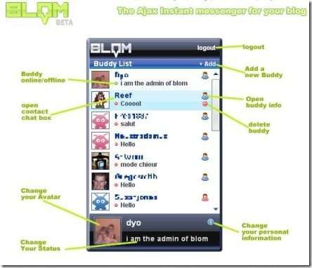 Blom-The-blog-messenger-440x378