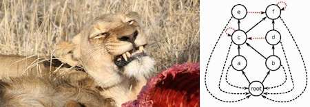 happylion