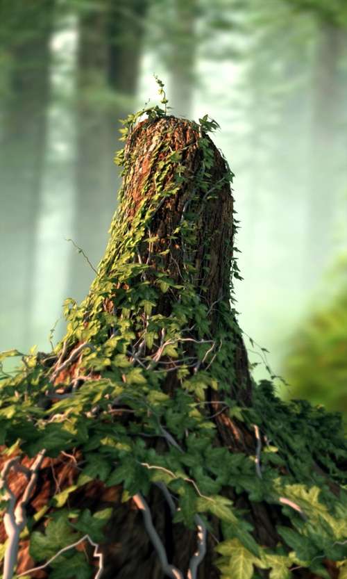 tree preview