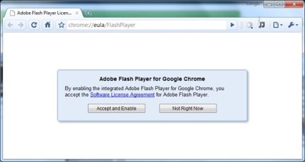 google-chrome-flash.jpg
