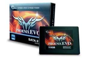 g skill phoenix evo 115gb