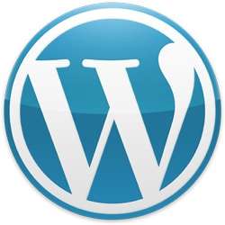 wordpress311 1