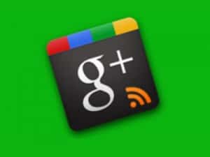 google plus feed