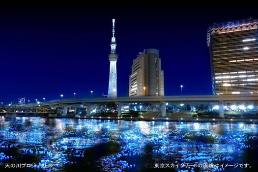 tokyo hotaru