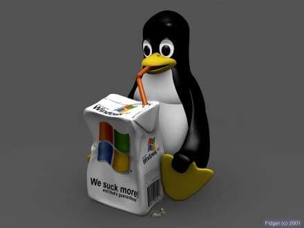 Windows VS Linux