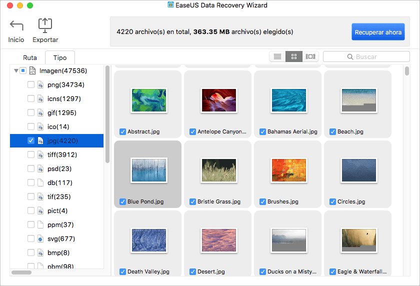 previsualizar archivos